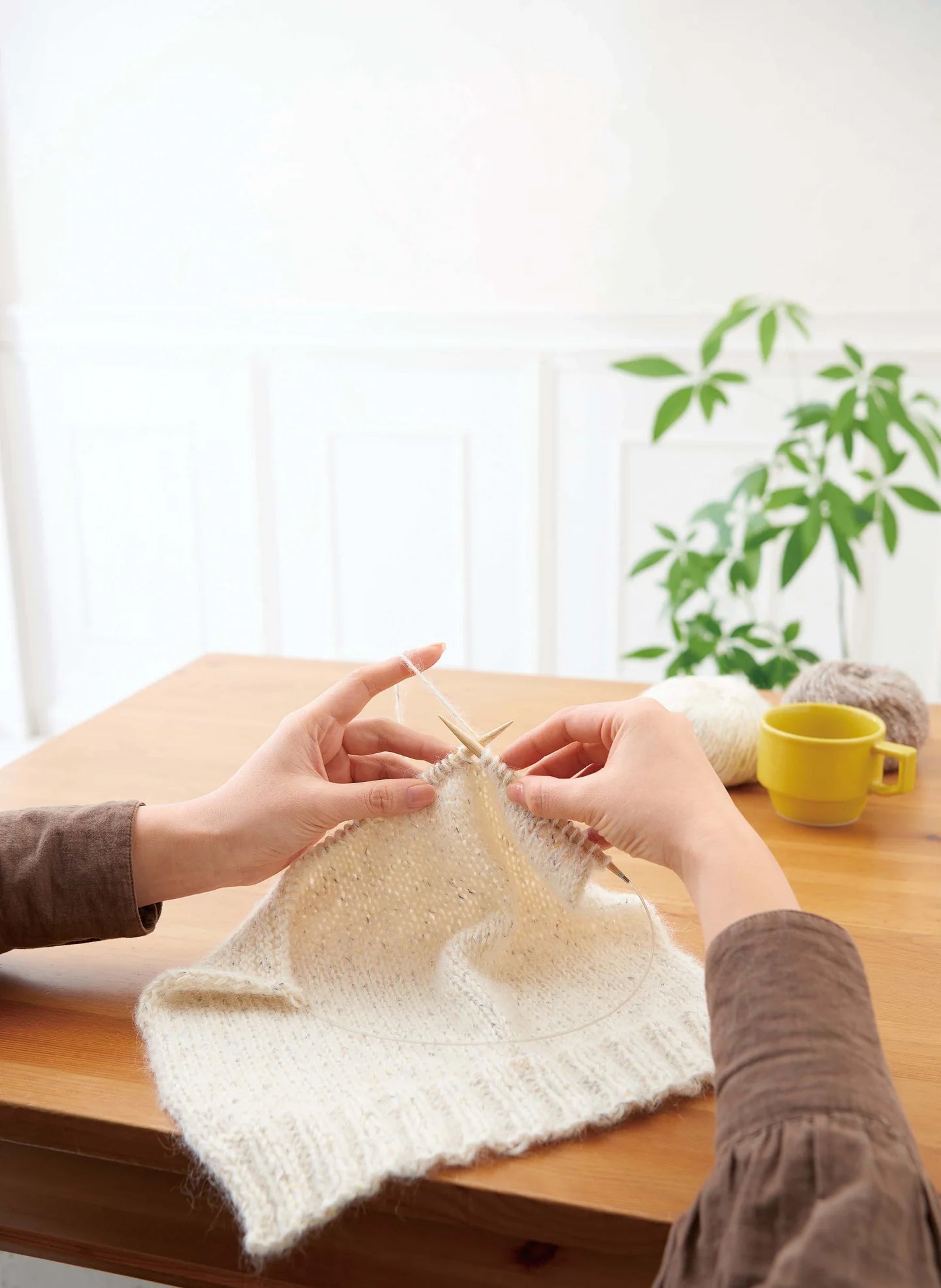 Aguja Circular Bambú 80Cm