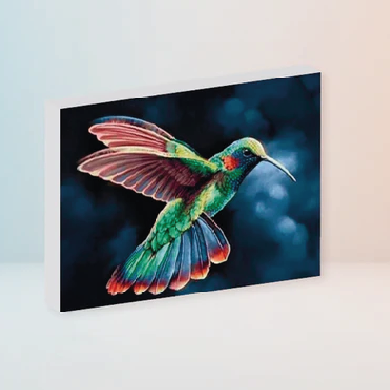 Kit de Diamantes Colibri