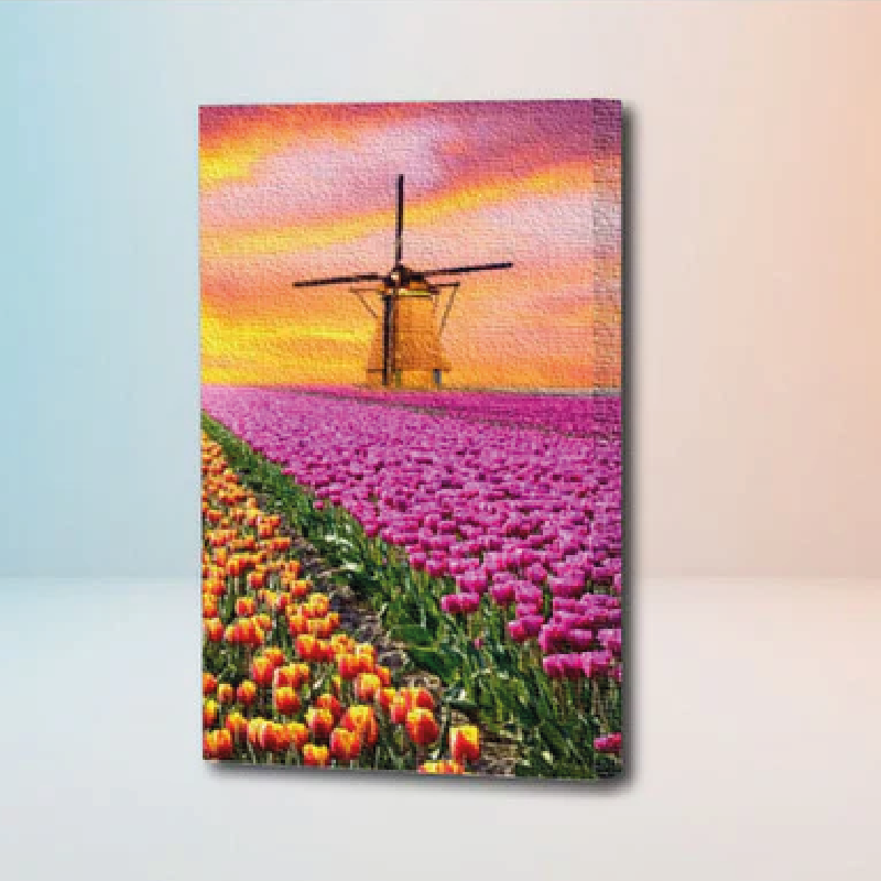 Kit de diamantes Molino