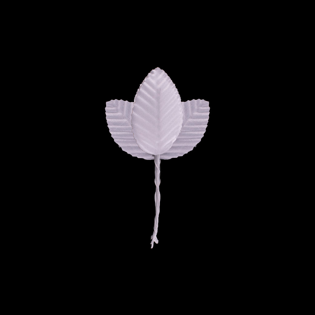 Hoja Decorativa