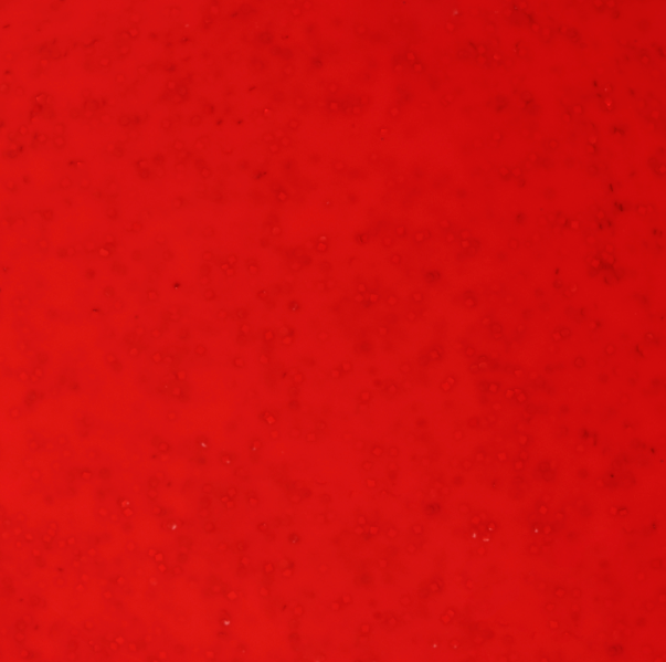 Pintura Tela Satín Cristal