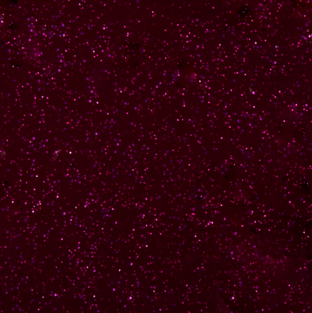 Pintura Tela Satín Cristal