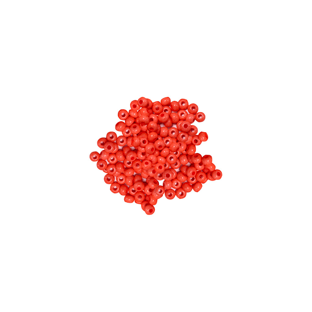 Chaquirón Checo # 6 10grs