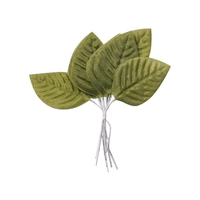 Hojas Verde Aceituna