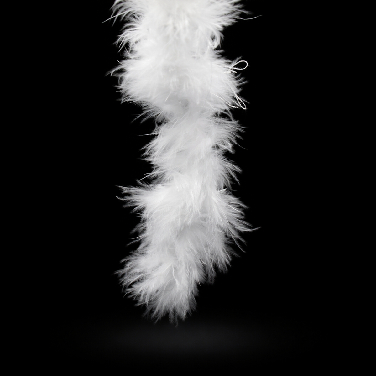Pluma Marabou
