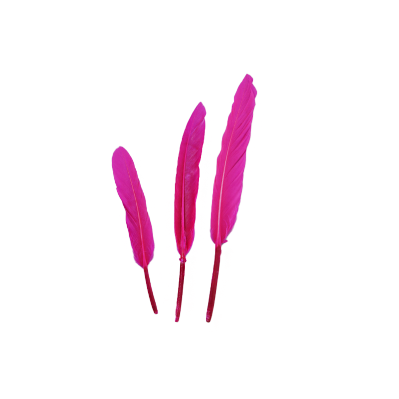 Pluma Ganso Pequeña 2.5gr