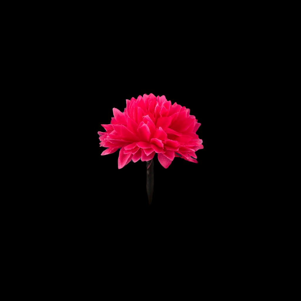 Flor Pompón
