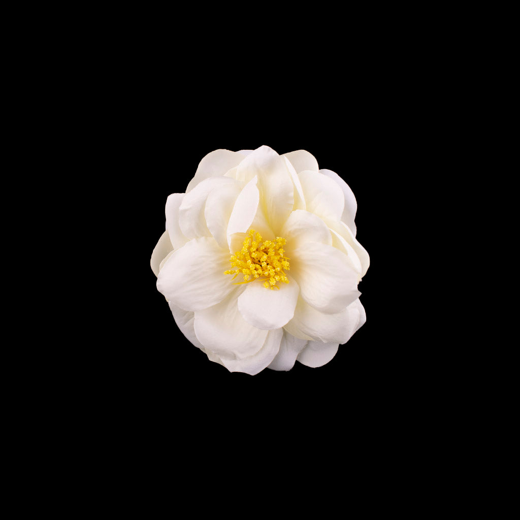 Flor Rosa Pistilo