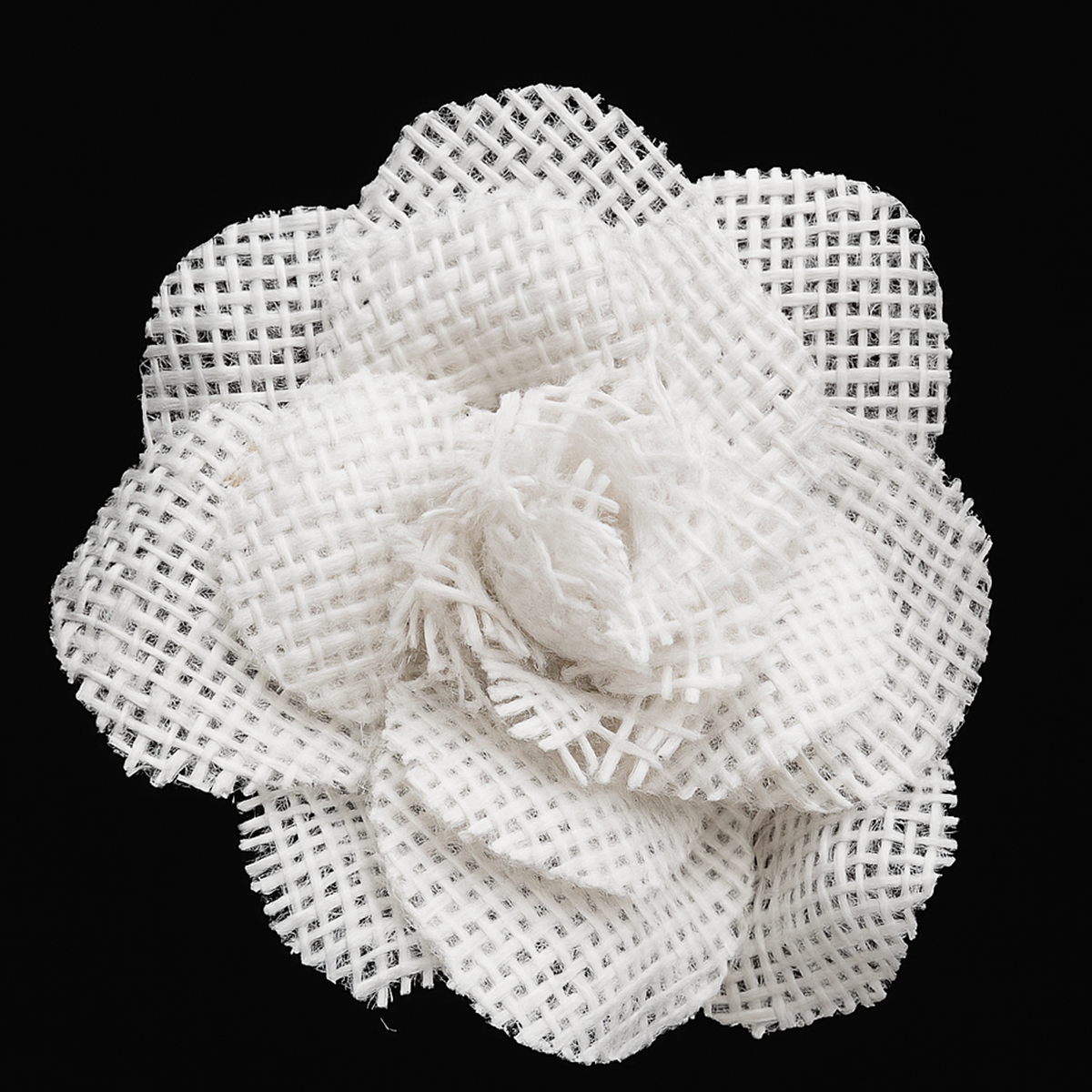 Rosa Yute 9cm
