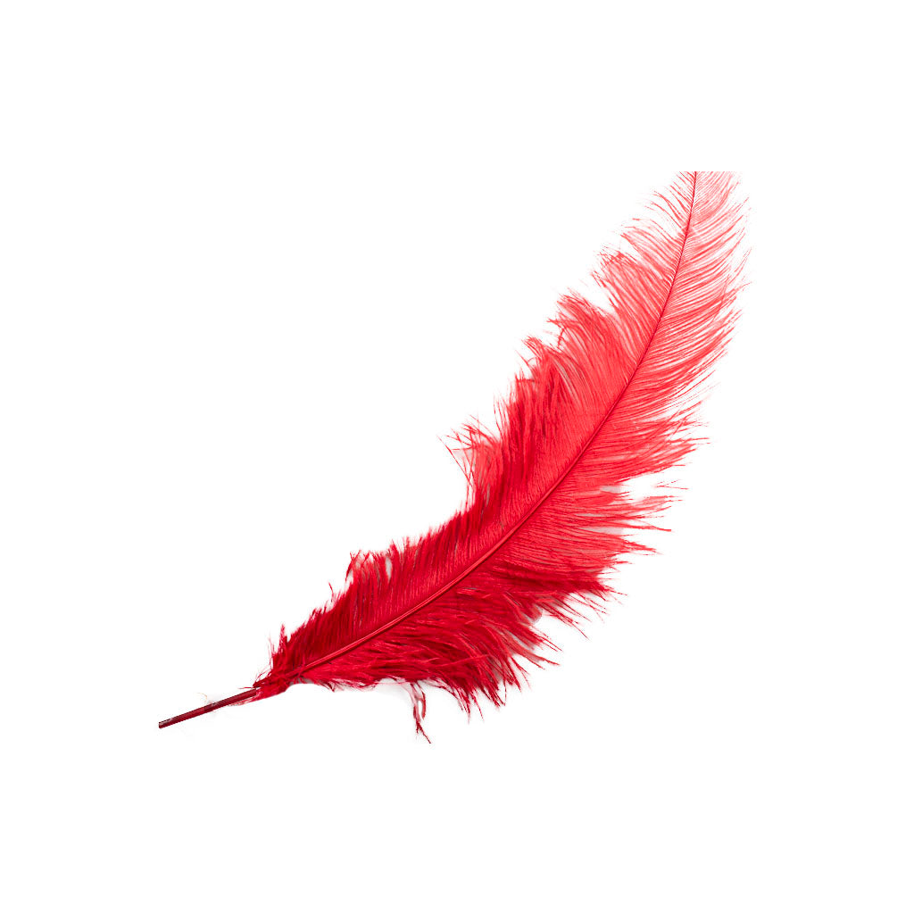 Pluma Avestruz Grande