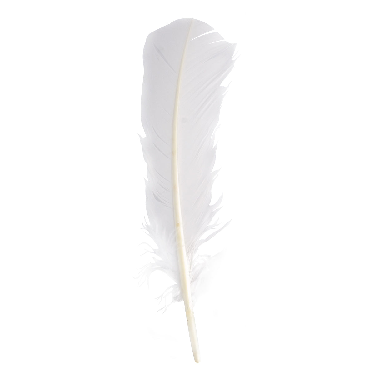 Pluma Indio 8 Grande