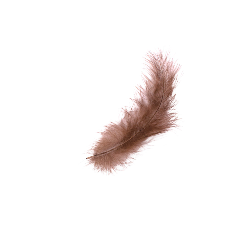 Pluma x 12