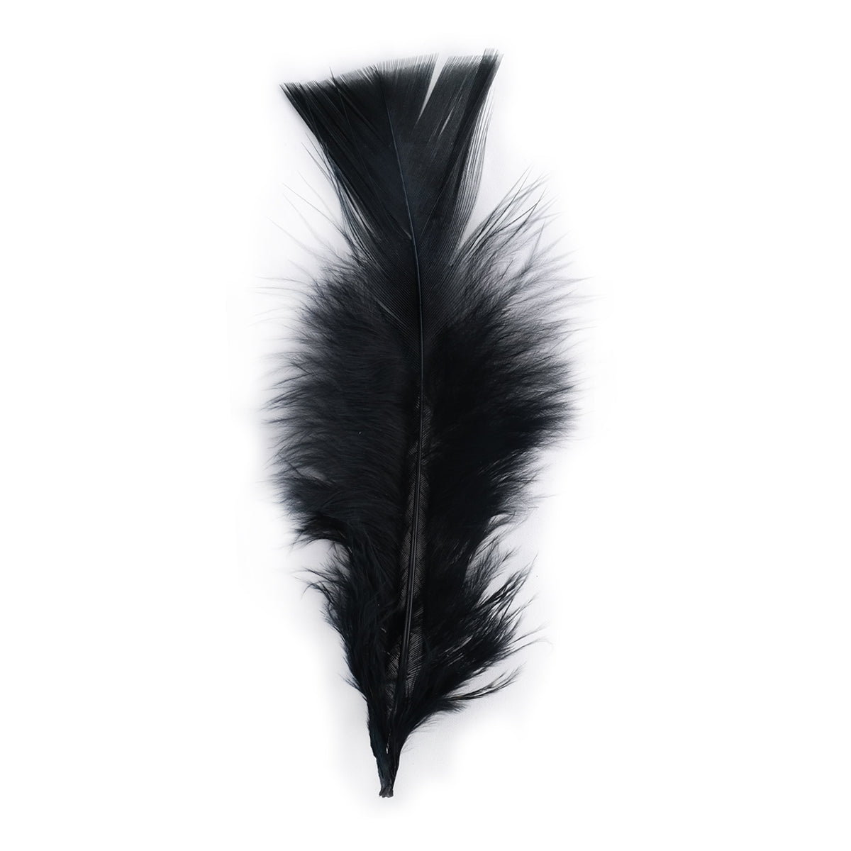 Pluma x 12