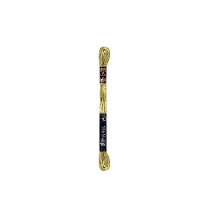 Hilo DMC Verde (61 colores)
