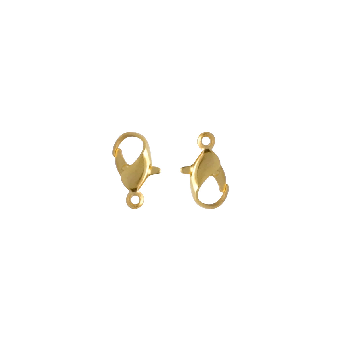 Broche Pico Loro 502